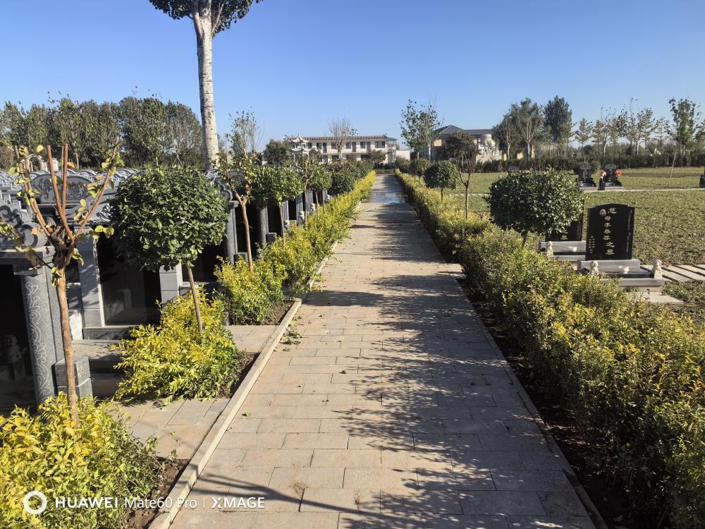 公墓环境