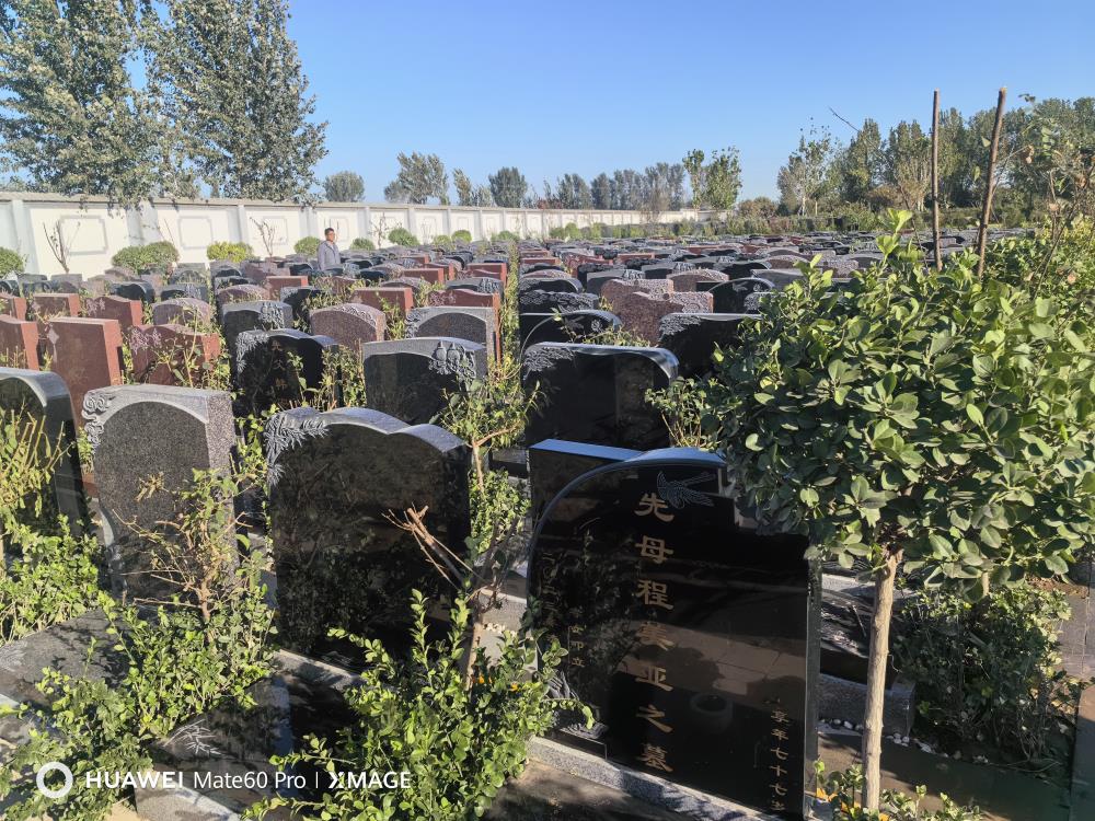 公墓环境